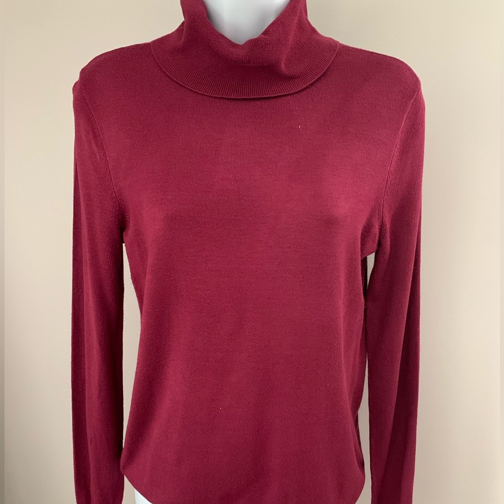Ann Taylor Factory Turtle Neck Sweater